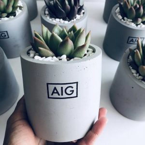 עציצים עגולים