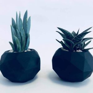 עציצי יהלום