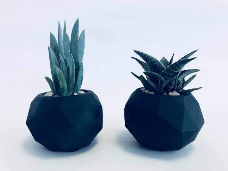 עציץ יהלום שחור2